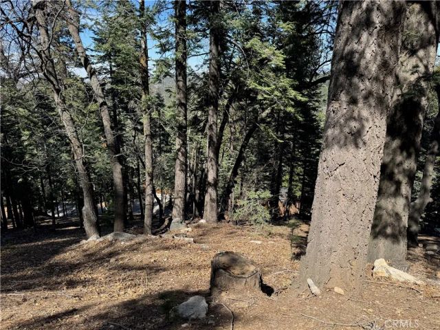 26537 Spyglass, Lake Arrowhead, CA 92352
