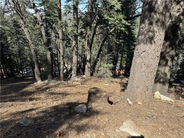 26537 Spyglass, Lake Arrowhead, CA 92352