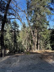 26537 Spyglass, Lake Arrowhead, CA 92352