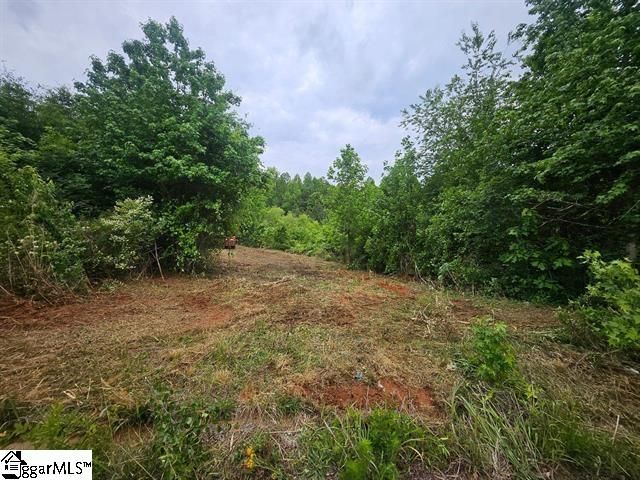 418 N Walcher Farm Drive, Inman, SC 29349