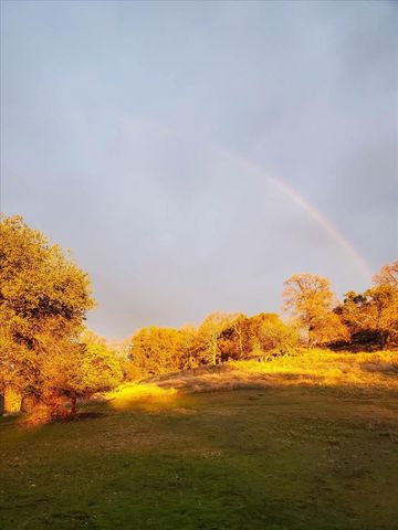 5000 Mourning Dove Lane, Shingle Springs, CA 95682