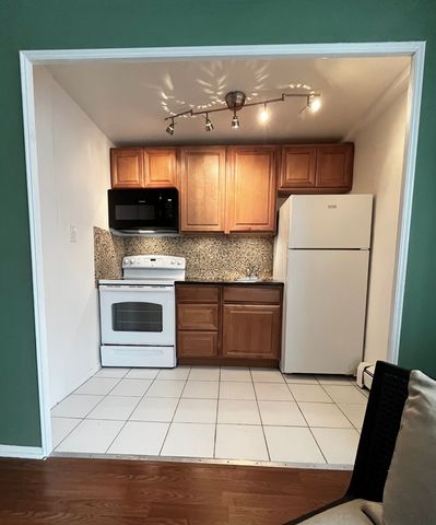 6300 N Sheridan Road 203, Chicago, IL 60660