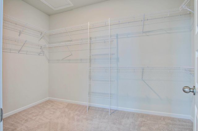 169 Country Gate Lane, Summerville, SC 29485