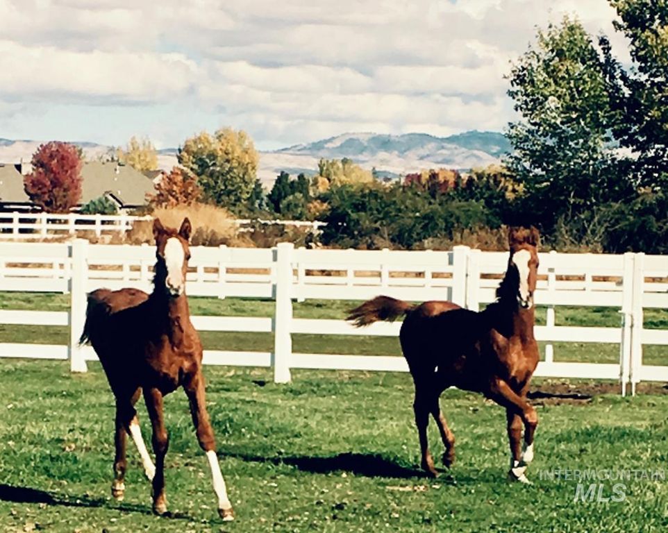 4503 W Remedy Lane, Eagle, ID 83616 photo 2