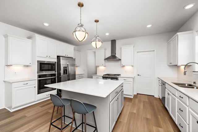 19322 Annabelle Lane, Hamel, MN 55340