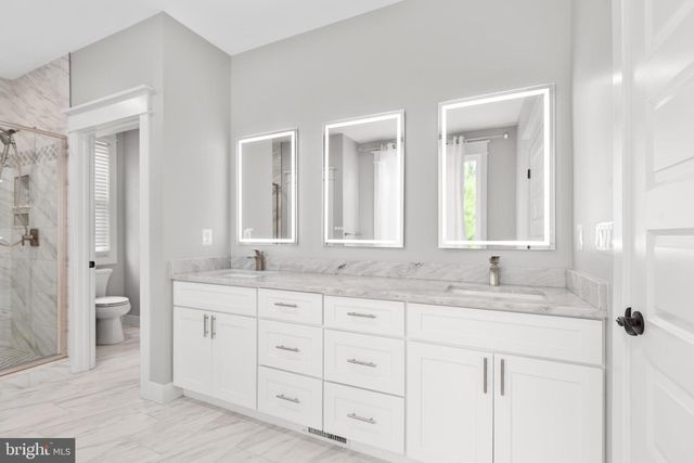 11601 TURMAN MEWS WAY, Locust Grove, VA 22508