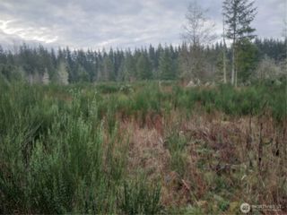 28596 Kent Kangley, Ravensdale, WA 98051