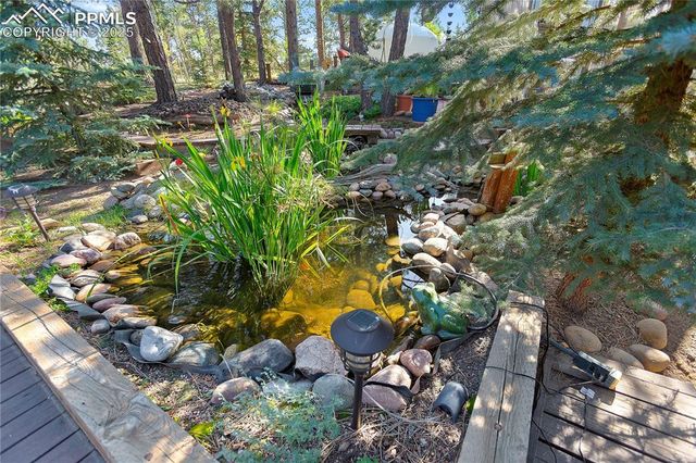 566 Spring Valley Drive, Divide, CO 80814