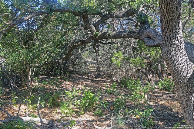 1118 Stagecoach Dr, Canyon Lake, TX 78133