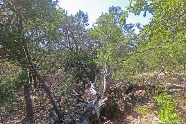 1118 Stagecoach Dr, Canyon Lake, TX 78133