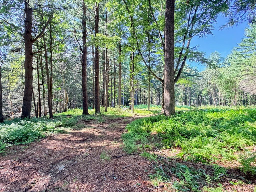 340 Haines Road, Bedford Hills, NY 10507 — photo 3