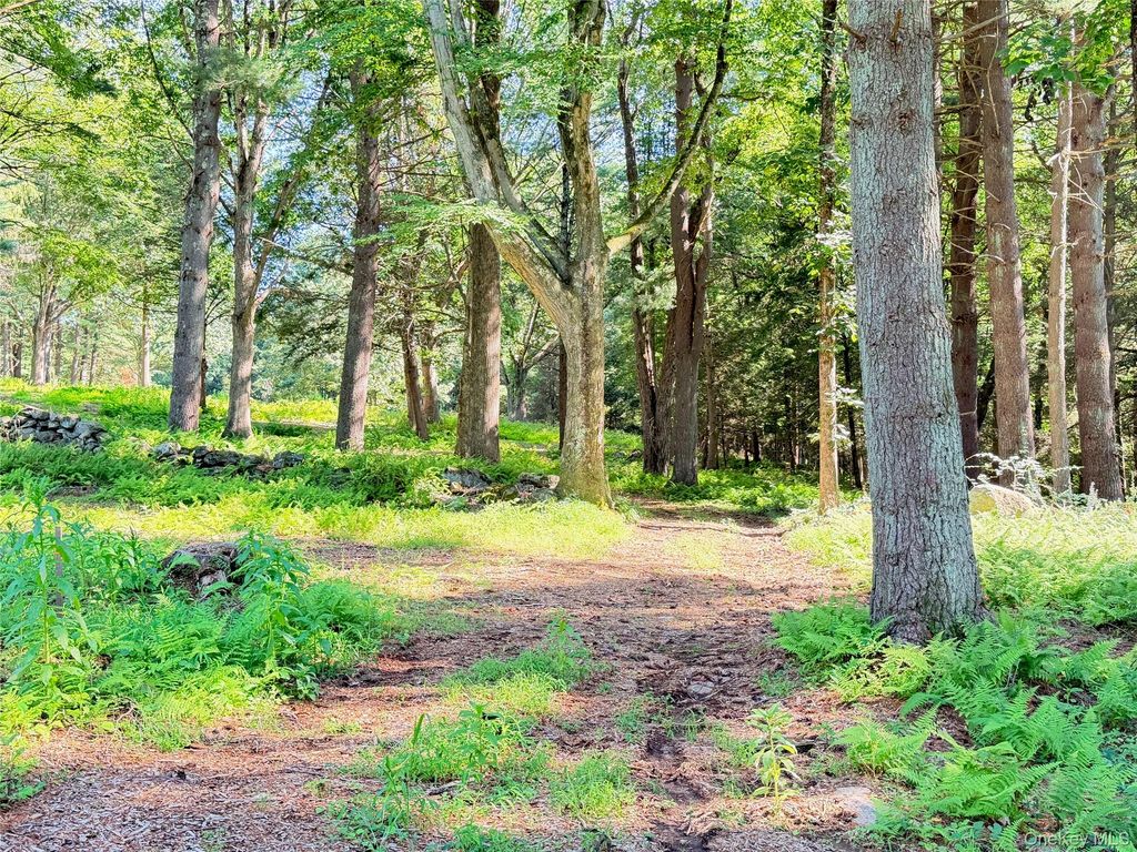 340 Haines Road, Bedford Hills, NY 10507 — photo 4