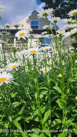 1407 Park Avenue, Lansing, MI 48910