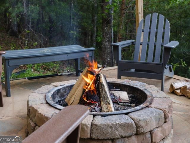 335 N Old Aska Road, Blue Ridge, GA 30513