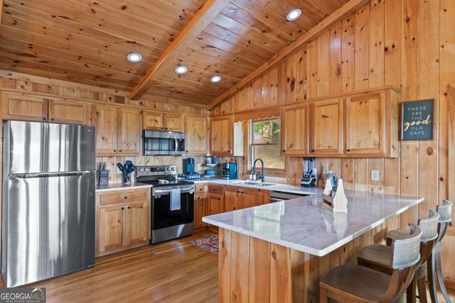 335 N Old Aska Road, Blue Ridge, GA 30513
