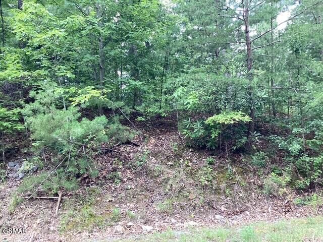 514 Percussion Court, Walland, TN 37886