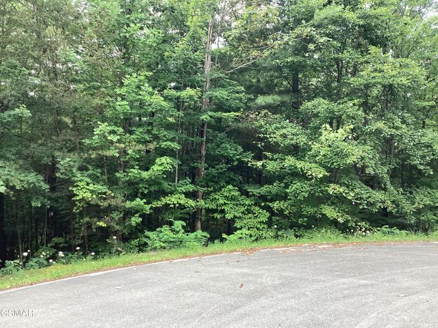 514 Percussion Court, Walland, TN 37886