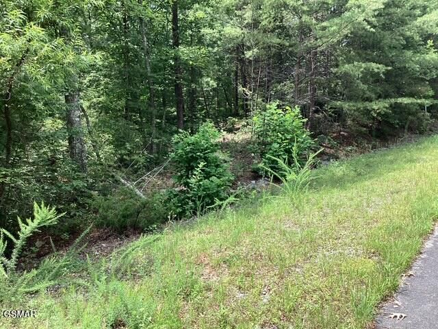 514 Percussion Court, Walland, TN 37886