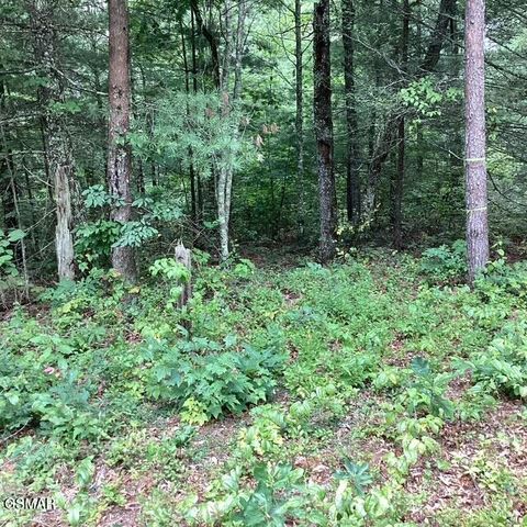 514 Percussion Court, Walland, TN 37886