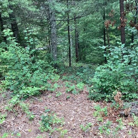 514 Percussion Court, Walland, TN 37886
