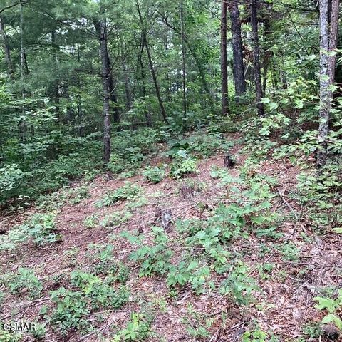 514 Percussion Court, Walland, TN 37886