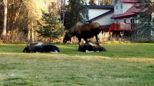 44582 Carver Drive, Kenai, AK 99611