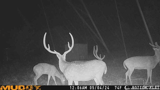 LOT 2 Live Oak Ridge, Bandera, TX 78003