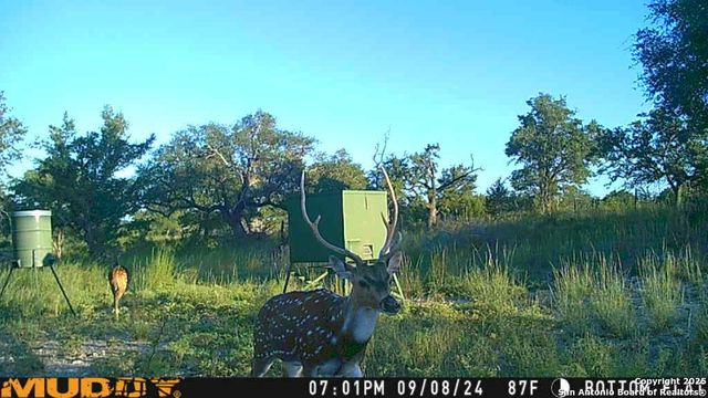 LOT 2 Live Oak Ridge, Bandera, TX 78003