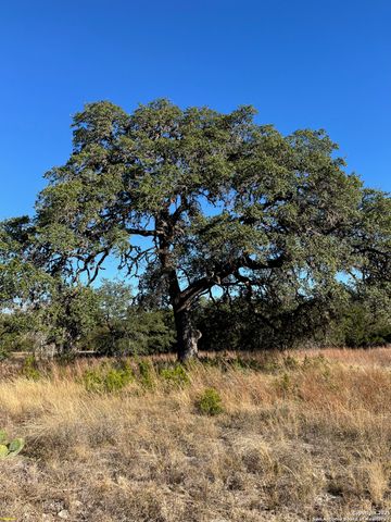 LOT 2 Live Oak Ridge, Bandera, TX 78003