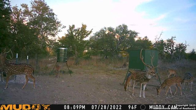 LOT 2 Live Oak Ridge, Bandera, TX 78003