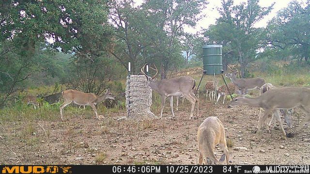 LOT 2 Live Oak Ridge, Bandera, TX 78003