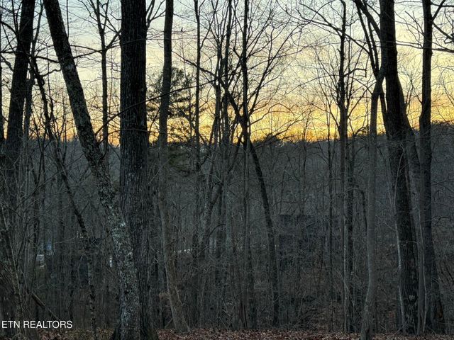 Big Creek Rd, Lafollette, TN 37766