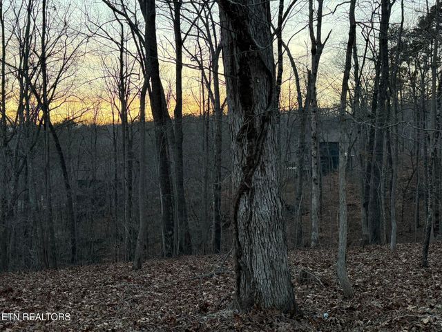 Big Creek Rd, Lafollette, TN 37766