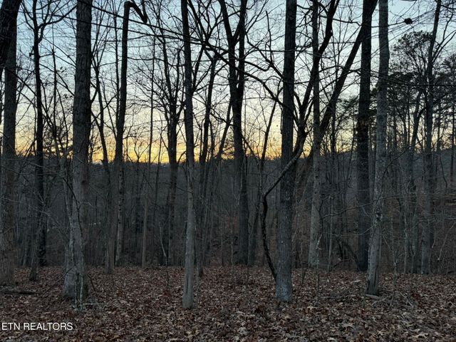 Big Creek Rd, Lafollette, TN 37766