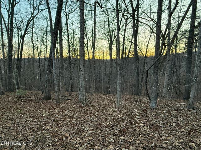 Big Creek Rd, Lafollette, TN 37766