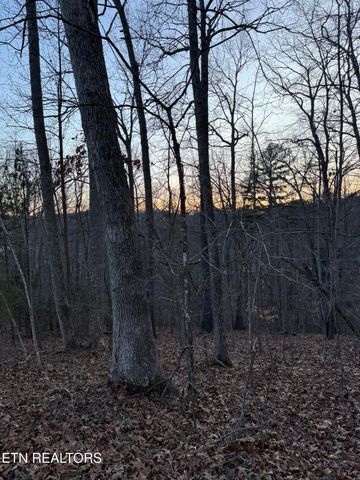 Big Creek Rd, Lafollette, TN 37766
