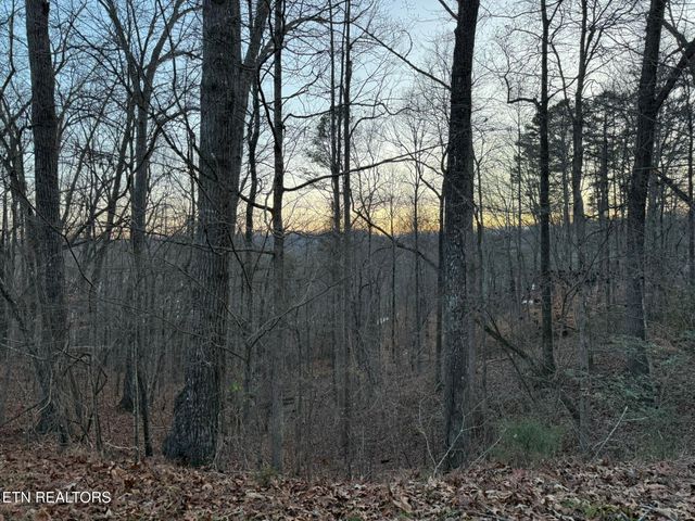 Big Creek Rd, Lafollette, TN 37766