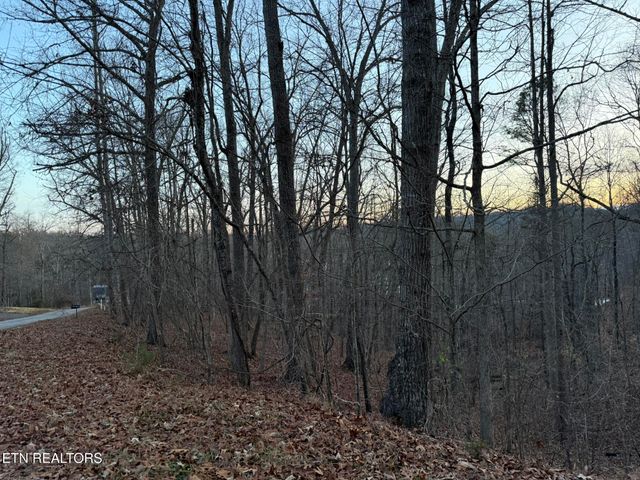 Big Creek Rd, Lafollette, TN 37766