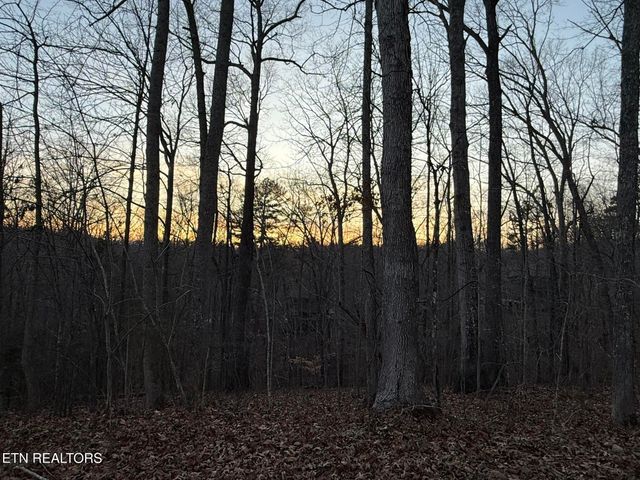 Big Creek Rd, Lafollette, TN 37766