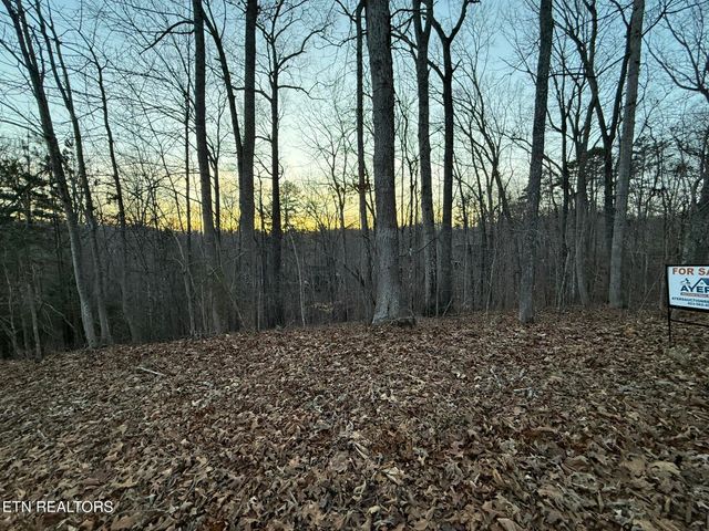 Big Creek Rd, Lafollette, TN 37766