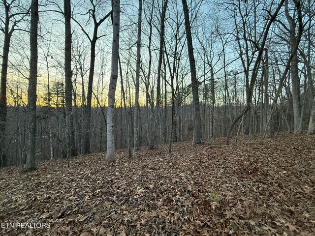 Big Creek Rd, Lafollette, TN 37766