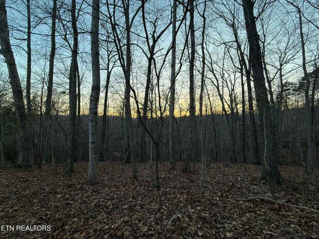 Big Creek Rd, Lafollette, TN 37766