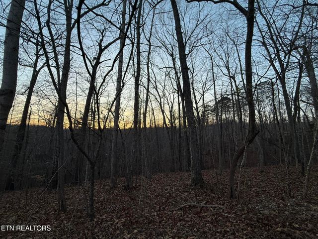 Big Creek Rd, Lafollette, TN 37766