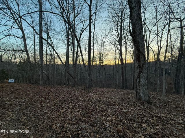 Big Creek Rd, Lafollette, TN 37766