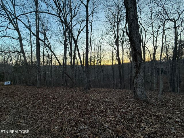 Big Creek Rd, Lafollette, TN 37766