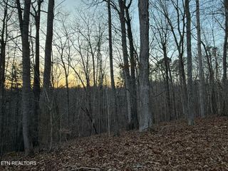 Big Creek Rd, Lafollette, TN 37766
