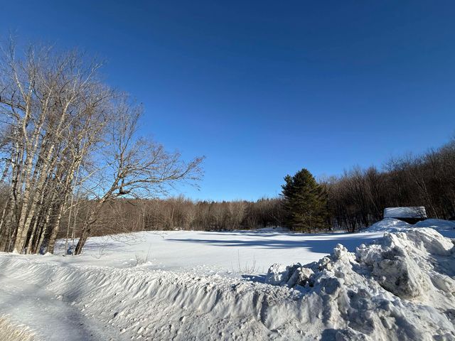 1033 Burrington Hill Road, Whitingham, VT 05361