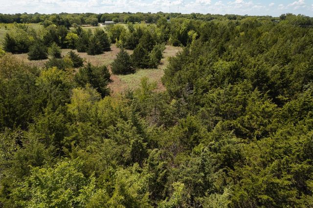 40 Acres Turner Road, Bells, TX 75414