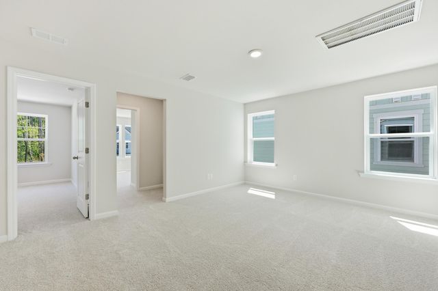 216 Twinleaf Court, Charleston, SC 29414