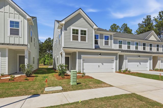 216 Twinleaf Court, Charleston, SC 29414